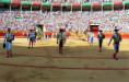 Colombo y el Milagro Final en Pamplona